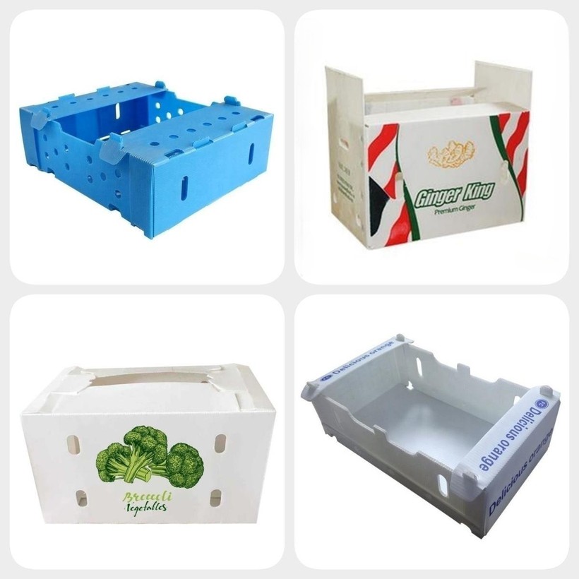 box 6 box 6