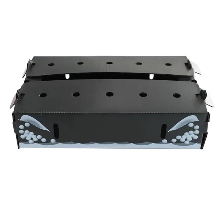 Corflute Vegetable Packaging Box