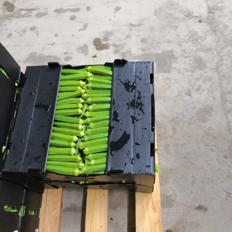 Coroplast Packing Box suppliers