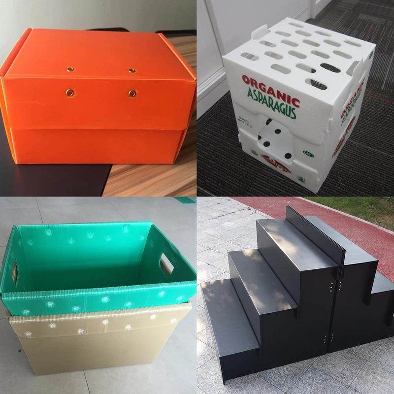 Mantis PP Corrugated Plasric Box 5 Mantis PP Corrugated Plasric Box 5